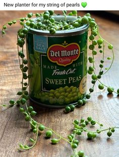 a can of peas sitting on top of a wooden table