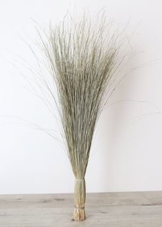 Afloral Natural Green Dune Grass Preserved Coastal Cottage Decorating, Faux Branches, Grass Decor, Floral Supplies, Wall Installation, Modern Coastal, Dried Flower Arrangements, Floor Vase, Fake Plants