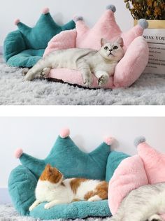 two pictures of a cat laying on top of a pink and blue bed with a princess tiara