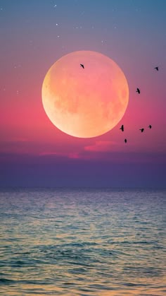 birds flying in front of the moon over the ocean at sunset with pink and blue sky