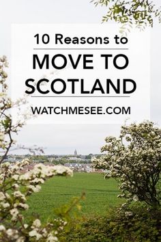 the words 10 reasons to move to scotland in front of a field with white flowers