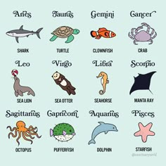 the different types of sea animals and their names