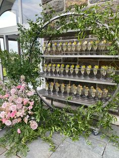 there are many glasses that are on the shelf in front of some flowers and plants