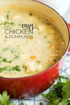 a red pot filled with chicken and dumplings next to some parsley on the side