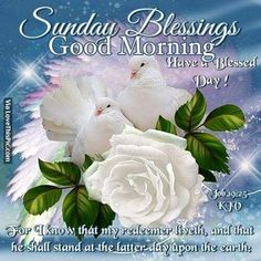 two white doves sitting on top of a flower with the words sunday blessing above them