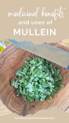 Here are some of the medicinal benefits and uses of mullein. Mullein is easy to find, anywhere there is poor soil! Collect mullein today to help boost your health, especially lung health. Mullen Tea Benefits, Mullein Tea Benefits, Mullen Herb Benefits, Mullein Leaf Benefits, Raspberry Leaf Tea Benefits, Elderberry Benefits