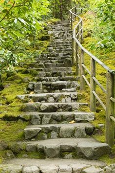 stone steps leading up to the top of a hill in the woods with moss growing on them