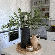 two vases sitting on top of a kitchen counter next to a potted plant