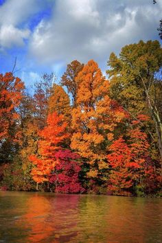 trees with orange and red leaves are reflected in the water on a sunny day,