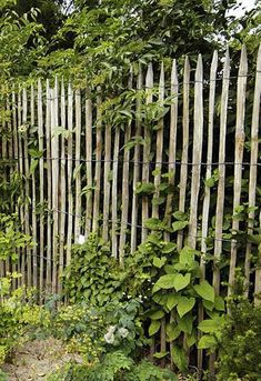 a wooden fence surrounded by lush green plants