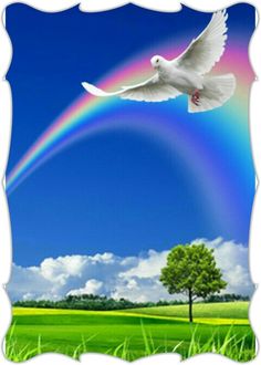 a white bird flying over a lush green field under a blue sky with a rainbow in the background