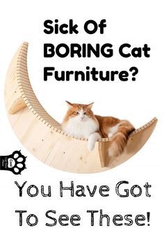 an orange and white cat sitting on top of a wooden moon with the caption sick of boring cat furniture? you have got to see these