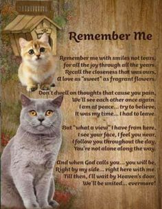 two cats sitting next to each other on top of a wooden plaque with the words remember me