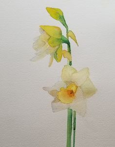 watercolor painting of yellow and white flowers