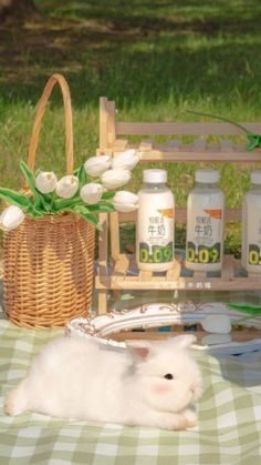 a white rabbit laying on top of a table next to bottles of milk and tulips