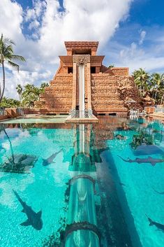 the water slide is surrounded by sharks and other tropical animals in this swimming pool that's designed to look like a waterfall