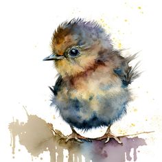 a watercolor painting of a small bird on a branch with paint splatters