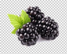 blackberries with green leaves on the top and white background png, clipart