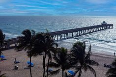 the beach is lined with palm trees and blue umbrellas