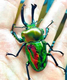 a green beetle sitting on top of a persons hand