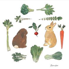 an illustration of rabbits, carrots and broccoli