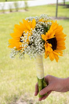 a bouquet of sunflowers and baby's breath is held by a hand