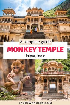 the complete guide to monkey temple in jalpur, india with text overlay