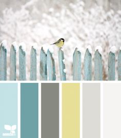 a bird sitting on top of a wooden fence next to a blue and yellow color scheme