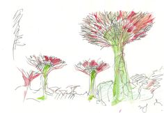 an artistic drawing of flowers and plants in watercolor on paper, with colored pencils