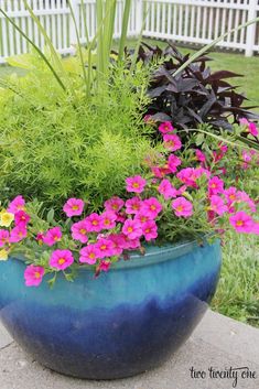 some pink flowers are in a blue pot