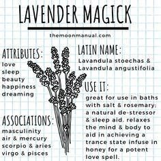 Lavender In Witchcraft, Lavender Witchcraft Uses, Lavender Witchcraft, Witch Diary, Modern Farmhouse Kitchen Decor Ideas, Plant Magick, Herb Magick, Lavender Witch, Chic Modern Farmhouse