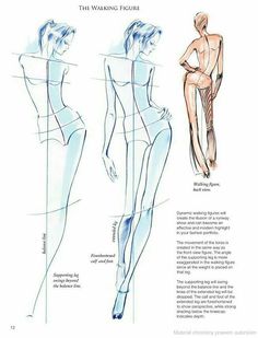 an image of the back and side view of a woman's body with different angles