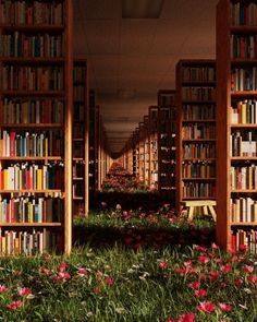 a long row of bookshelves filled with lots of books next to pink flowers