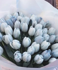 a bouquet of blue and white tulips in a paper wrapper