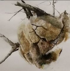 an insect mitt hanging from a tree branch in the snow with no leaves on it