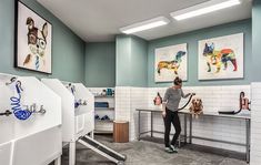 a woman standing in a bathroom with three urinals next to her and a dog