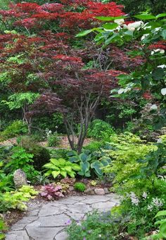 a stone path surrounded by trees and flowers