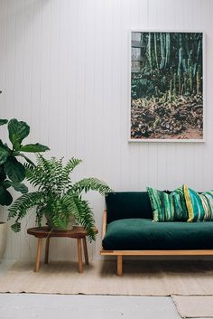 a green couch sitting next to a potted plant on top of a wooden table