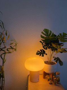 a white table topped with potted plants next to a light on top of it