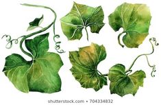 watercolor painting of green leaves and vines on a white background with clippings