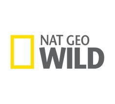 the nat geo wild logo is yellow and gray with an orange rectangle on it