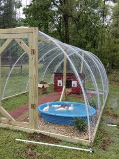 a chicken coop with a small pool inside