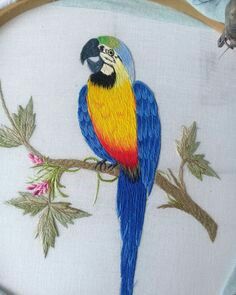 a blue and yellow parrot sitting on top of a tree branch next to a bird