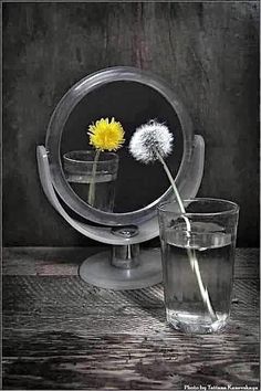 a dandelion in front of a mirror with water and a glass on the table