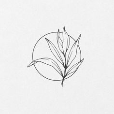 a black and white drawing of a leaf in the middle of a circle on a white background