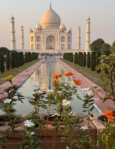 the tajwam in india is surrounded by flowers and greenery