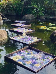 there are many trays with flowers on the water in this garden area that is surrounded by rocks and greenery