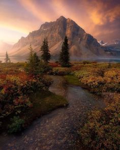 a river running through a lush green forest next to a tall mountain under a cloudy sky