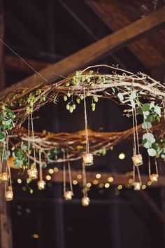 an arrangement of lights hanging from a tree branch with greenery on it's branches