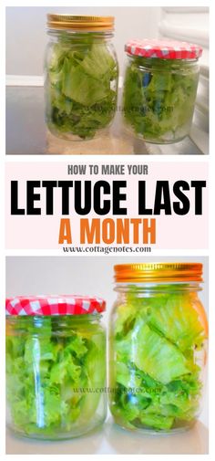 lettuce in jars with the words how to make your lettuce last a month